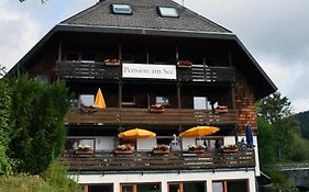 Pension am See Schluchsee